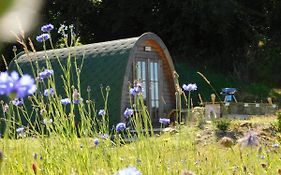 Cosy Pod-Cabin Near Beautiful Landscape In Omagh