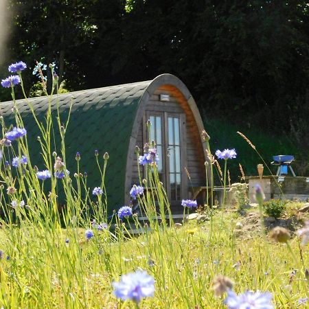 Cosy Pod-Cabin Near Beautiful Landscape In Omagh Exterior photo