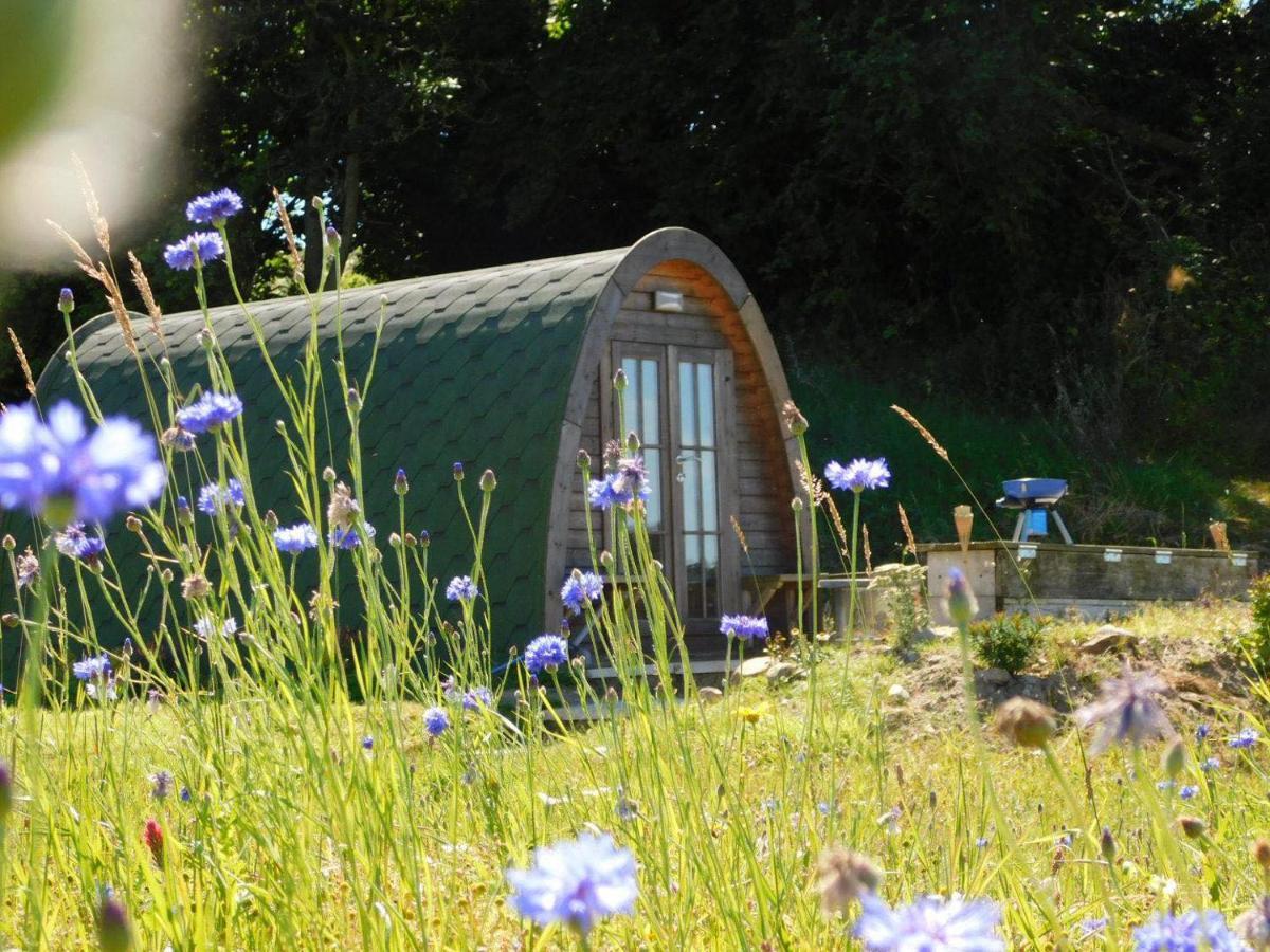 Cosy Pod-Cabin Near Beautiful Landscape In Omagh Exterior photo