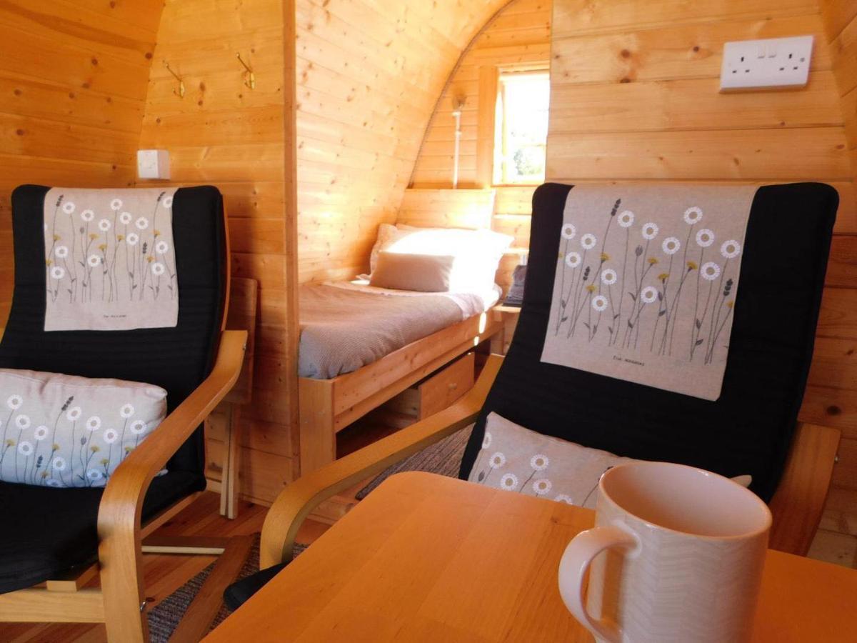 Cosy Pod-Cabin Near Beautiful Landscape In Omagh Exterior photo